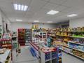 Магазины и бутики · 145 м² за ~ 70 млн ₸ в Актобе, мкр. Алтын орда — фото 5