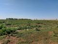 Сельское хозяйство • 1000 м² за ~ 19.6 млн 〒 в Косшы — фото 24