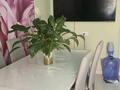 2-бөлмелі пәтер · 70 м² · 5/9 қабат, Мкр. Шапагат 8, бағасы: 35 млн ₸ в Караганде, Казыбек би р-н — фото 23