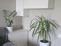 2-бөлмелі пәтер · 70 м² · 5/9 қабат, Мкр. Шапагат 8, бағасы: 35 млн ₸ в Караганде, Казыбек би р-н — фото 38