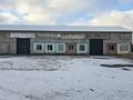 Промбаза · 1 га, Декоративный питомник 1 за 1 200 ₸ в Семее — фото 2