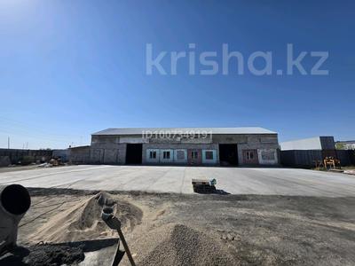Промбаза · 1 га, Декоративный питомник 1 за 1 200 ₸ в Семее