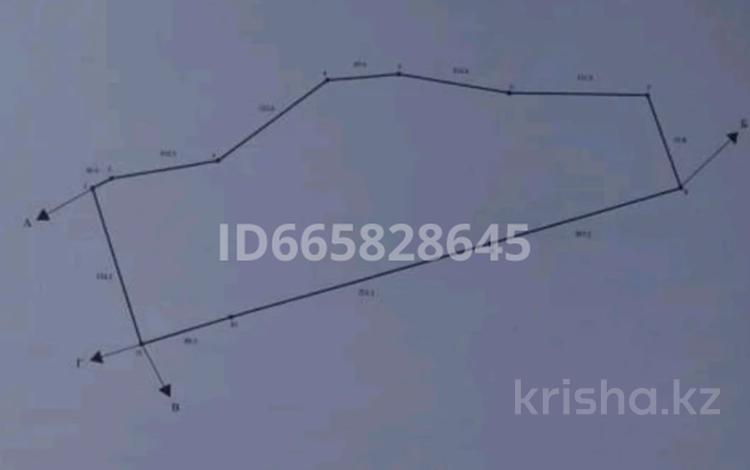 Жер телімі · 8 га, Без названия, бағасы: 1 млн ₸ в Восточно-Казахстанской обл. — фото 2