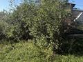 Саяжай · 2 бөлме · 50 м² · 6 жүзд., Ст природа — Куленовка, бағасы: 4.5 млн ₸ в Усть-Каменогорске — фото 20