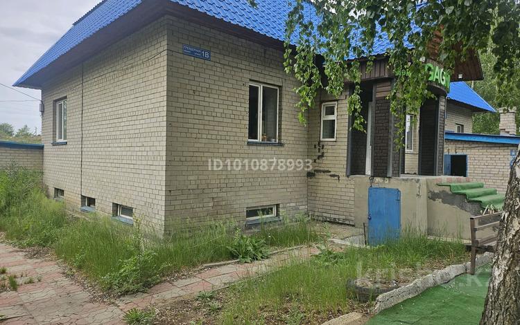 Қоғамдық тамақтану орны · 283 м², бағасы: 62 млн ₸ в Усть-Каменогорске, Ульбинский — фото 7