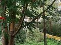 Отдельный дом · 2 комнаты · 82 м² · 12 сот., С.т. Союз 3 улица 52 — 1 автопарк за 15.5 млн ₸ в Усть-Каменогорске — фото 18