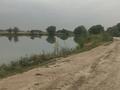 Участок · 70 соток, Жидели за 25 млн ₸ в М. Туймебаеве — фото 7