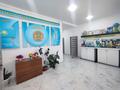 Отдельный дом · 19 комнат · 1105 м² · 25 сот., Абылай хана за 230 млн ₸ в  — фото 3