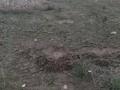 Жер телімі 10 сотық, Береке 614, бағасы: 3.3 млн 〒 в Талдыкоргане, село Ынтымак — фото 5