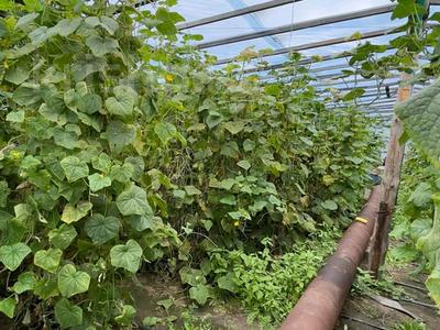 Отдельный дом · 2 комнаты · 45 м² · 18 сот., Торайгыр би 1 — Детский сад 117 за 9 млн 〒 в Павлодарском