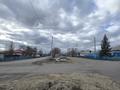 Участок · 1 сотка, Декоративная 24/1 за 3 млн ₸ в Семее — фото 4