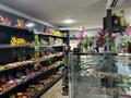 Продуктовый магазин · 63.9 м², бағасы: 85 млн ₸ в Семее — фото 8