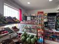 Жеке үй · 5 бөлме · 250 м² · 10 жүзд., Молодежная 14/5, бағасы: 120 млн ₸ в Дружбе — фото 7