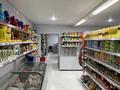 Свободное назначение · 400 м² за 120 млн ₸ в Кокшетау — фото 5
