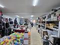 Свободное назначение, офисы, магазины и бутики, склады, общепит · 900 м² за 155 млн ₸ в Мангышлаке — фото 51