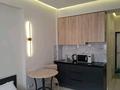 1-комнатная квартира · 25 м² · 12/12 этаж, Торайгырова 21/1 — Мустафина за 16 000 ₸ в Алматы, Бостандыкский р-н — фото 2