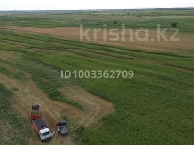 Участок · 120 га, Поле за 140 млн ₸ в Тескенсу
