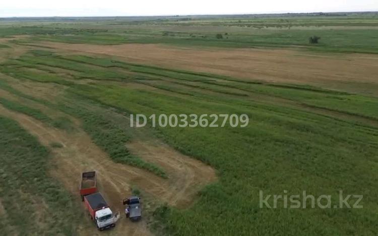 Участок · 120 га, Поле за 140 млн ₸ в Тескенсу — фото 2