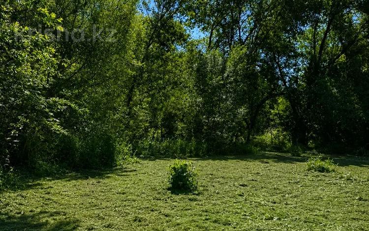 Жер телімі · 11.5 сотық, Таттимбета 188 — Имеется АПЗ, бағасы: 225 млн ₸ в Алматы, Медеуский р-н — фото 2