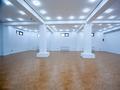 Отдельный дом · 8 комнат · 700 м² · 14 сот., мкр Саялы — Саина за 235 млн ₸ в Алматы, Алатауский р-н — фото 29