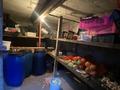 Отдельный дом · 6 комнат · 180 м² · 10 сот., Жамбыла 12 — Первомайка за 55 млн ₸ в Коянкусе — фото 16