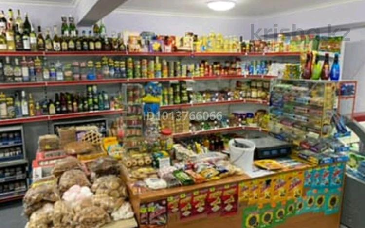 Магазины и бутики · 53 м² за 150 000 ₸ в Балхаше — фото 14