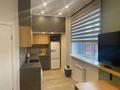 1-комнатная квартира · 20 м² · 2/8 этаж, мкр Мамыр-4 165а за 20 000 ₸ в Алматы, Ауэзовский р-н — фото 6