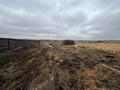 Жер телімі · 85 сотық, Косшы, бағасы: 95 млн ₸ — фото 3