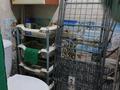 1-бөлмелі пәтер · 18 м² · 2/5 қабат, Толеби — Доснар, бағасы: 65 000 ₸ в Таразе — фото 4
