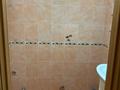 2-бөлмелі пәтер · 65.3 м² · 5/5 қабат, 5 микрорайон 8, бағасы: 24 млн ₸ в Костанае — фото 12