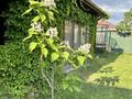 Жеке үй · 6 бөлме · 170 м² · 9 сот., мкр Самал, Хакназархан, бағасы: 120 млн ₸ в Атырау — фото 33