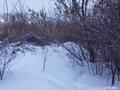 Участок · 0.4907 га, Лысенко 6 за ~ 115.1 млн 〒 в Усть-Каменогорске — фото 4