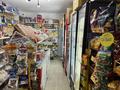 Магазины и бутики · 62.6 м² за 22 млн ₸ в Семее — фото 2