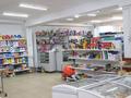 Магазины и бутики • 365 м² за 150 млн 〒 в Таразе — фото 3