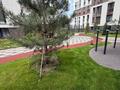3-бөлмелі пәтер · 80 м² · 2/9 қабат, Навои 58/4, бағасы: 77 млн ₸ в Алматы, Бостандыкский р-н — фото 2