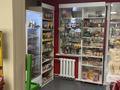 Готовый продуктовый магазин «у дома» с постоянными клиентами · 70 м² за 35 млн ₸ в Петропавловске — фото 4