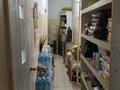 Магазины и бутики · 220 м² за 70 млн ₸ в Темиртау — фото 11