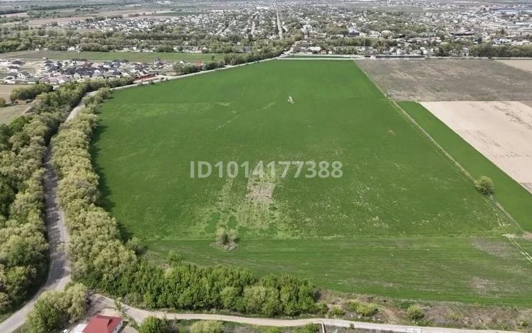 Жер телімі · 2 га, Мерей (Селекция), бағасы: 135 млн ₸ — фото 2
