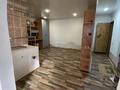 Отдельный дом · 1 комната · 55 м² · 6 сот., Мирный 531 за 15 млн ₸ в Семее — фото 11