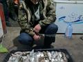 Монша, қонақ үй және демалыс орындары · 500 м², бағасы: 200 млн ₸ в  — фото 45