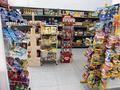 Магазины и бутики · 90 м² за 500 000 ₸ в Шымкенте, Абайский р-н — фото 18