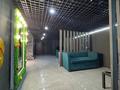 Еркін, ойын-сауық · 290 м², бағасы: ~ 80 млн ₸ в Астане, Есильский р-н — фото 21
