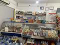 Магазины и бутики • 150 м² за 300 000 〒 в Атырау, мкр Нурсая — фото 6