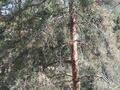2-бөлмелі пәтер · 38 м² · 3/4 қабат, Рысқұлова 66 — Әкімшіліктің қасында, бағасы: 12.8 млн ₸ в Талгаре — фото 8