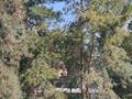 2-бөлмелі пәтер · 38 м² · 3/4 қабат, Рысқұлова 66 — Әкімшіліктің қасында, бағасы: 12.8 млн ₸ в Талгаре — фото 9