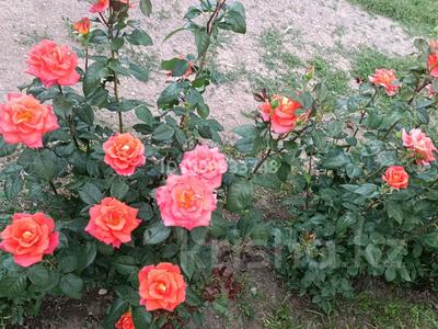 Жеке үй · 4 бөлме · 137.5 м² · 5 жүзд., С. Жандосов, ул. Мамыр 3, бағасы: 37.5 млн ₸ в Каскелене