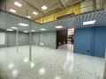 Еркін · 190 м², бағасы: 69 млн ₸ в Астане, Сарайшык р-н — фото 9