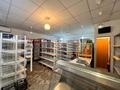 Свободное назначение · 44 м² за 15 млн ₸ в Астане, Алматы р-н — фото 8