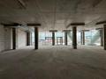 Еркін · 270 м², бағасы: 3.6 млн ₸ в Астане, Нура р-н — фото 5
