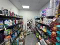 Свободное назначение, офисы, магазины и бутики, склады, общепит, салоны красоты, медцентры и аптеки, образование, развлечения · 95 м² за 134 млн ₸ в Астане, Сарайшык р-н — фото 3